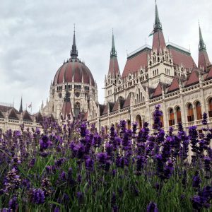 hungarian parliament